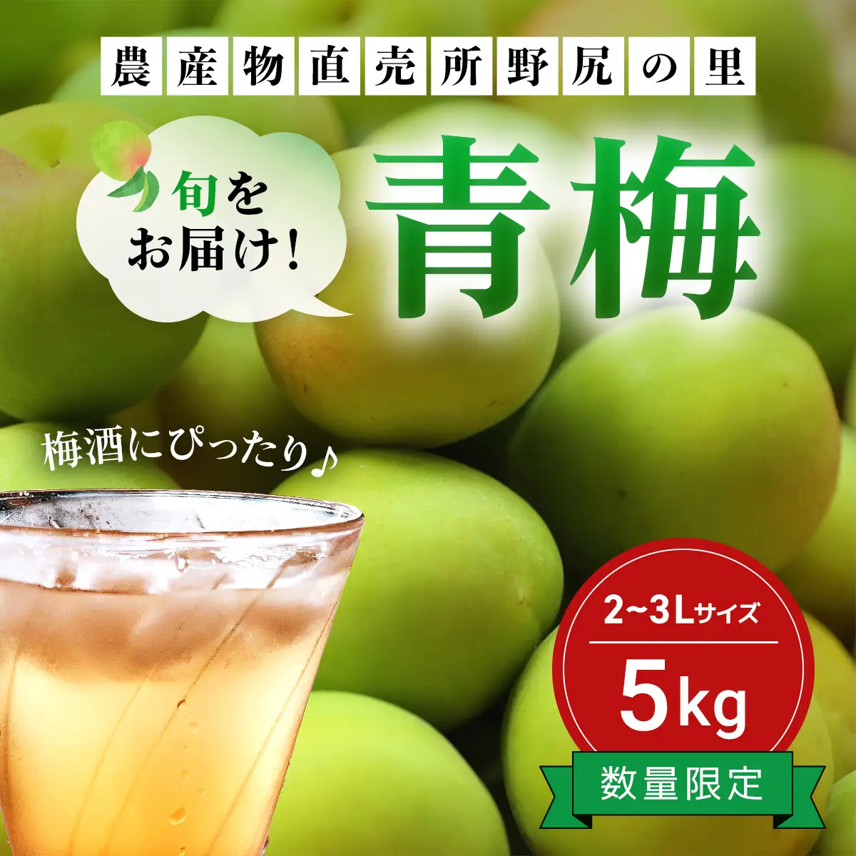 【2026年発送分先行予約】旬をお届け！青梅【２Lサイズ５㎏】 ANAR019