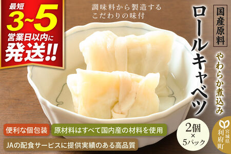 国産原料 やわらか煮込みロールキャベツ 2個×5パック 最短3～5営業日以内発送