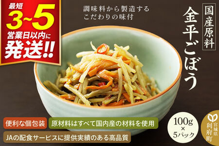 国産原料 金平ごぼう 100g×5パック 最短3～5営業日以内発送
