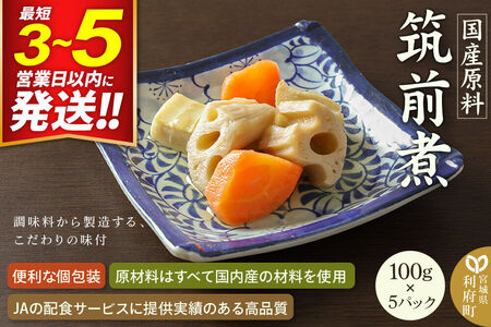 国産原料 筑前煮 100g×5パック 最短3～5営業日以内発送