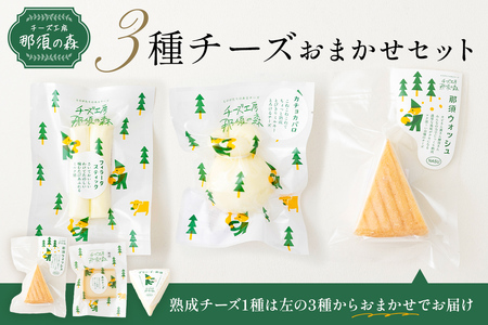 【チーズ工房那須の森】那須の森3種チーズおまかせセット（カチョカバロ＋フィラータスティック＋おまかせチーズ1種） ns003-001