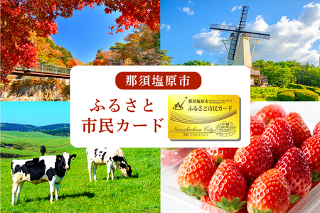 那須塩原市　ふるさと市民カード【 体験 チケット 栃木県 那須塩原市 】 ns056-001