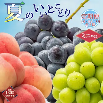 【全3回】フルーツ定期便 夏のいいとこどり 少人数用 定期便