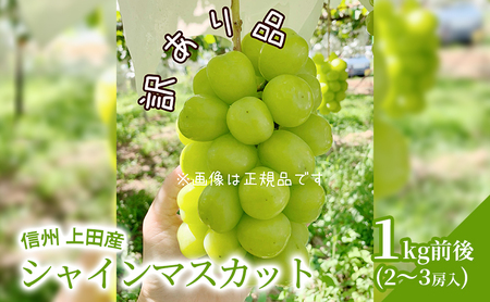 【2026年産】 訳あり シャインマスカット 1kg前後 2～3房 ぶどう 葡萄 ブドウ マスカット 1kg 果物 くだもの フルーツ デザート 旬の果物 旬のフルーツ 訳アリ 長野県 長野