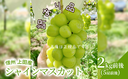 【2026年産】 訳あり シャインマスカット 2kg前後 5房前後 ぶどう 葡萄 ブドウ マスカット 2kg 果物 くだもの フルーツ デザート 旬の果物 旬のフルーツ 訳アリ 長野県 長野