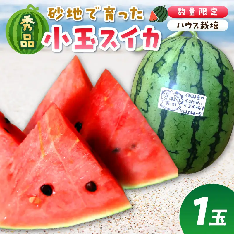 【先行予約／数量限定100】スイカ にしまるスイカ 秀品 1玉｜2026年6月中旬から発送