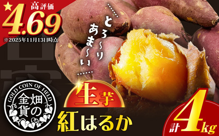 焼き芋 さつまいも 紅はるか 生芋 4kg 【畑の金貨】 K181-006