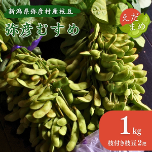 枝豆 新潟 令和8年産 弥彦村産 弥彦むすめ 枝付き枝豆 2把(約1kg) | 枝豆 えだまめ 新潟県