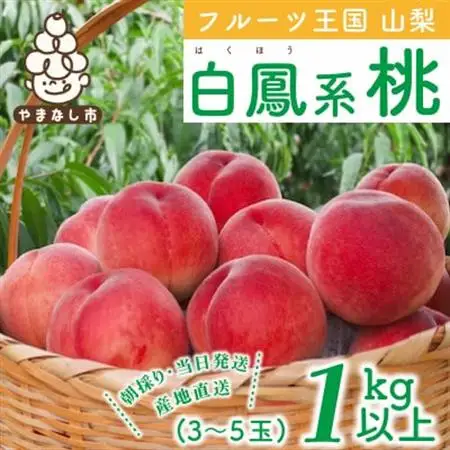 2026年発送　山梨県産 桃 白鳳系 1kg以上(3～5玉) フルーツ王国・山梨から産地直送【配送不可地域：離島・沖縄県】【1137259】