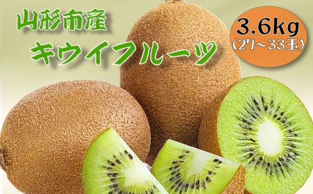山形市産キウイフルーツ 3.6kg(27～33玉)１月お届け FZ26-830