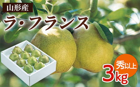 山形市産 ラ・フランス 秀以上 3kg(6～10玉) FZ26-827