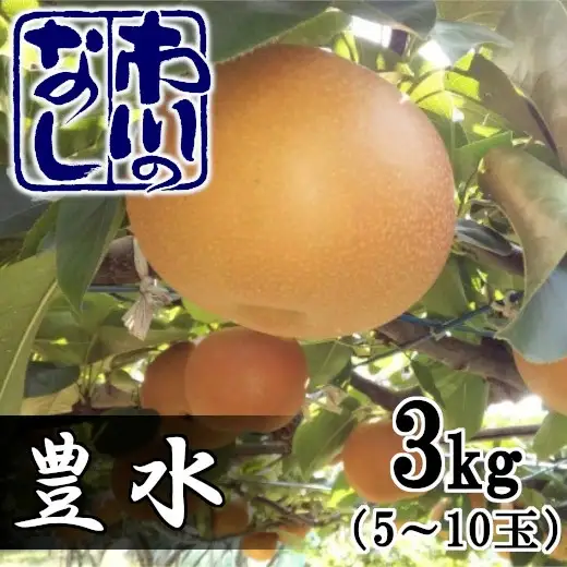 市川の梨　豊水　3kg（5～10個入り）　【12203-0124】