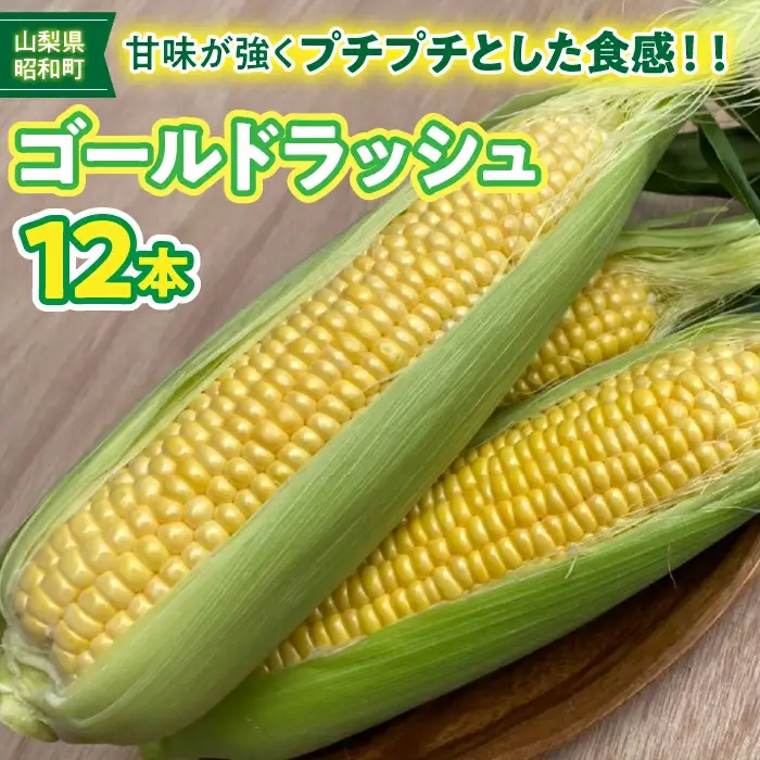 ＜2026年発送＞昭和町ブランドとうもろこし「GOLDラッシュ」 SWBN002