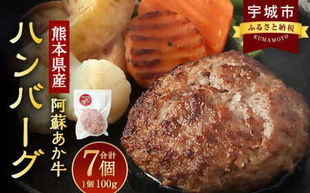 阿蘇 あか牛 ハンバーグ 100g×7個 合計700g ハンバーグ あか牛ハンバーグ 牛肉ハンバーグ 牛１００％ハンバーグ 熊本県産ハンバーグ 牛肉ハンバーグ あか牛ハンバーグ 牛ハンバーグ