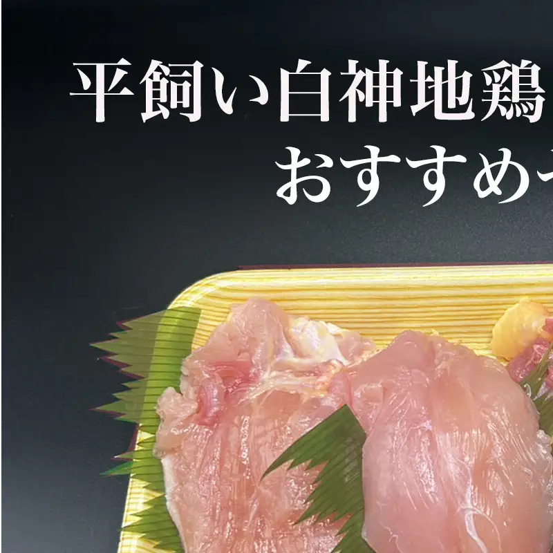 数量限定 比内地鶏 約400g～ 1パック 鶏肉 地鶏 国産鶏肉