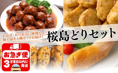 B2-2132／こだわりの桜島どりセット-２