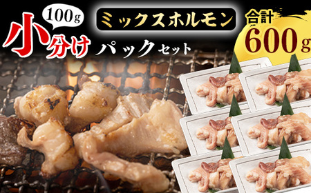 【30営業日以内配送】小分けで鮮度抜群！焼肉店でも人気の 牛ホルモンMIXが6パック！100gずつで使いやすい 　012-D-YL005