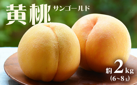 桃 サンゴールド 2kg 黄桃