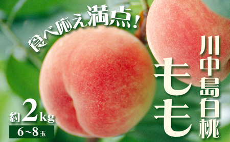 もも 川中島白桃 2kg　桃