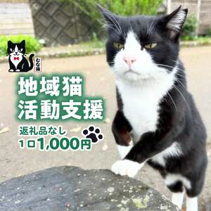 【返礼品なし】「むな猫（旧：てくてくさくらねこ）」　地域猫活動支援【むな猫】_HA1118