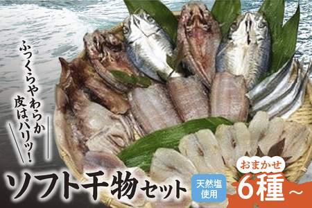 新鮮ソフト干物セット おまかせ6種以上