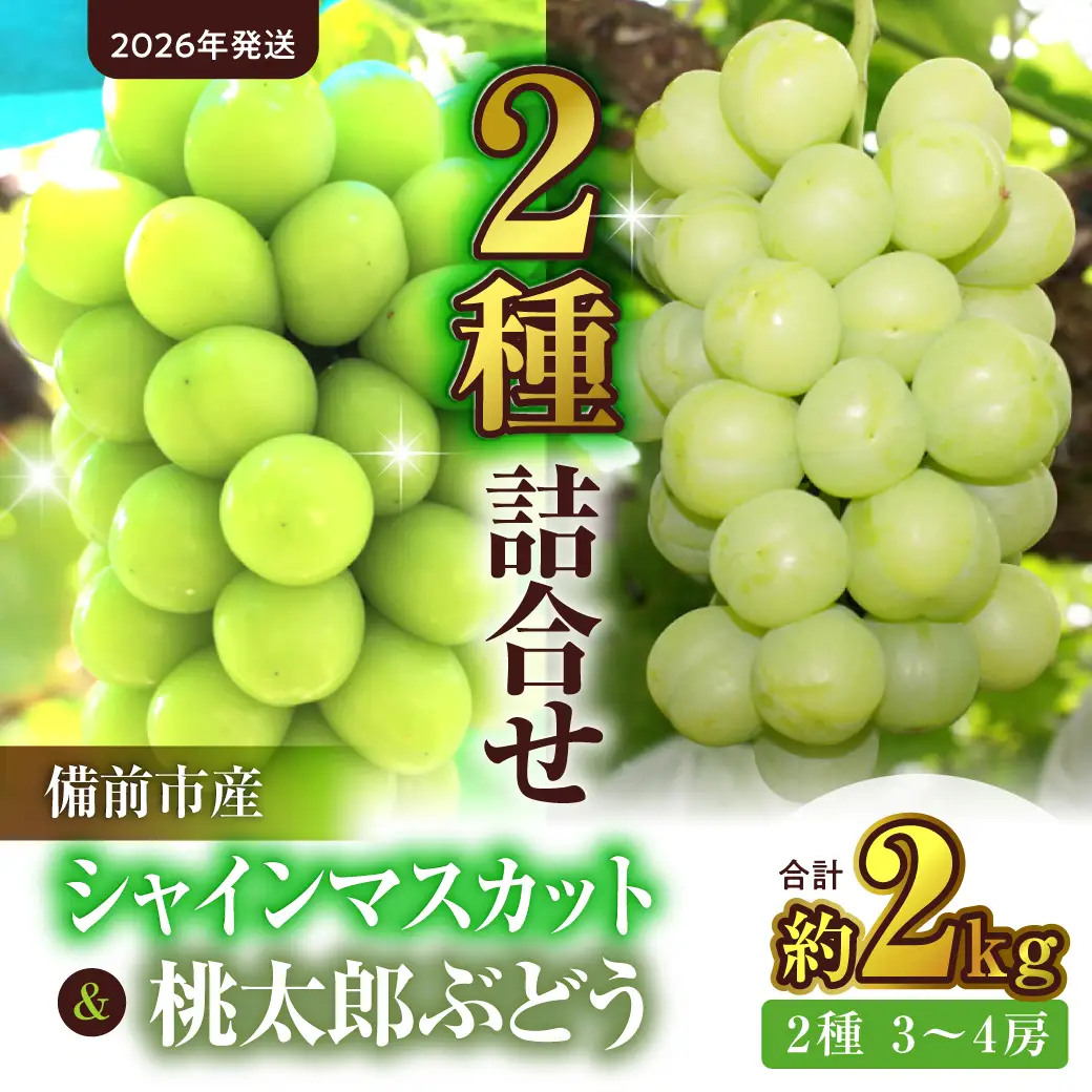 【2026年発送】備前市産シャインマスカット 桃太郎ぶどう 詰合せ 約2kg （2種 3～4房）（9月初旬～9月中旬頃発送）【 シャインマスカット ぶどう 】