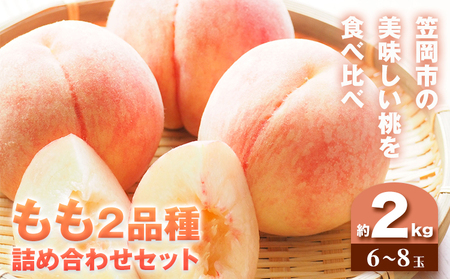 もも 桃2品種詰め合わせセット 2kg　桃