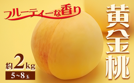 黄金桃 2kg　もも 黄桃