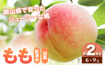 桃 紅清水・白鳳 どちらかお届け 2kg　白桃