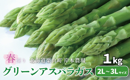 【極太】北海道産 春採り グリーン アスパラガス 1kg　3L～2L 岸本農場