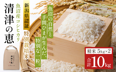 令和7年産魚沼産特別栽培米コシヒカリ［清津の恵］精米10kg（5kgx2袋）