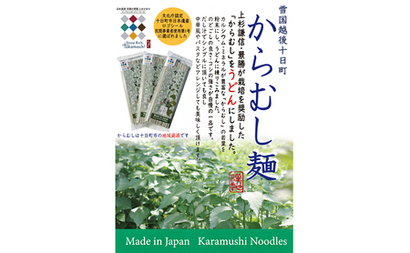【豊富な栄養！】雪国越後十日町からむし麺（うどん）３束入りギフト（200g×3束） 乾麺 カラムシ 和苧 苧麻 麺類 新潟 