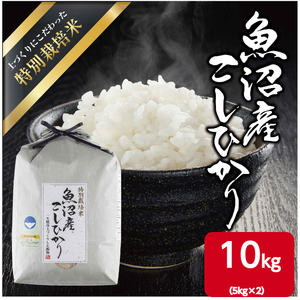 令和7年産 魚沼産 コシヒカリ 特別栽培米 10kg（5kg×2） 米 こしひかり お米 コメ 新潟 魚沼 魚沼産 白米 送料無料 新潟県産 精米 産直 産地直送 契約農家 お取り寄せ 魚沼三昧 川治米店 新潟県 十日町市 もちもち 