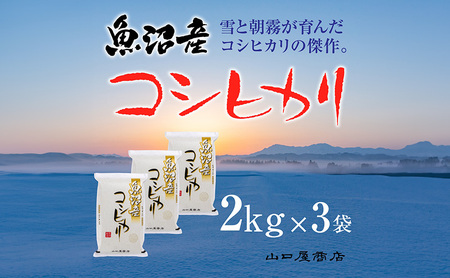 「厳選☆十日町育ち」魚沼産コシヒカリ 2kg×3袋 お米 米 コメ 