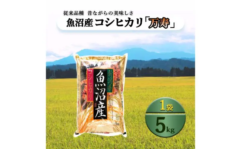 数量限定 従来品種 魚沼産コシヒカリ 精米 5kg