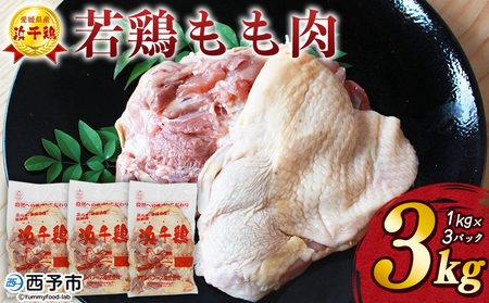 ＜銘柄鶏 浜千鶏 愛媛県産 若鶏もも肉 3kg（1kg×3）＞ 国産 鶏肉 鳥肉 とり チキン モモ肉 はまちどり ブロック 精肉 にく 料理 アレンジ 夕飯 夕食 お弁当 昼食 唐揚げ から揚げ 焼き鳥 マルハフーズ株式会社 愛媛県 西予市【冷凍】『1か月以内に順次出荷予定』OMF0003