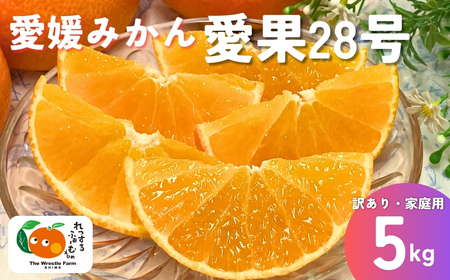 【2026年先行予約】みかん 愛媛県 愛果28号 5kg ご家庭用 訳あり レッスルファーム 紅まどんなと同一品種【2026年11月下旬から順次発送予定】 数量限定 おすすめ 美味しい おいしい グルメ フルーツ くだもの 愛媛県産 人気 柑橘 伊予市｜B251