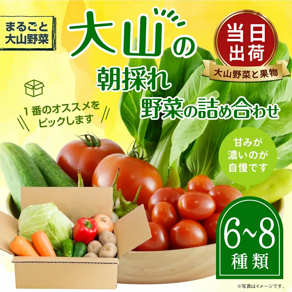 MS-01　新鮮朝採れ野菜　お手ごろセット