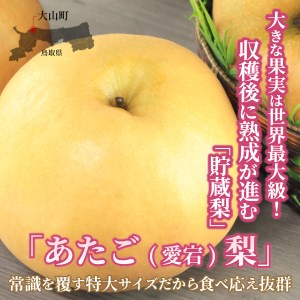 DS-10　あたご梨 5kg