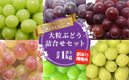 《先行予約・ご家庭用》令和8年産 訳あり シャインマスカットとお任せ1～2種 ぶどう 詰合せ セット 計1kg 山形県産 2026年産【2026年9月中旬頃～11月頃発送予定】　013-B-JF020