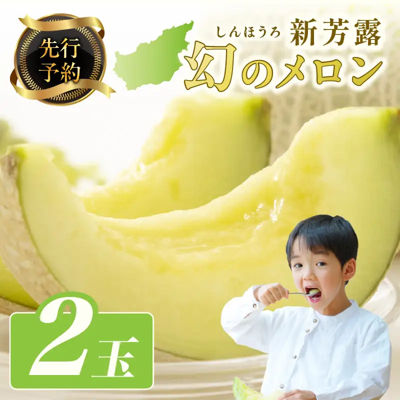 【先行予約】幻のメロン 新芳露 2玉（2026年7月下旬～発送）