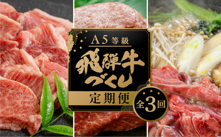 【ふるなび限定】定期便 飛騨牛 3回 定期便 トキノ屋食品 FN-Limited-PR