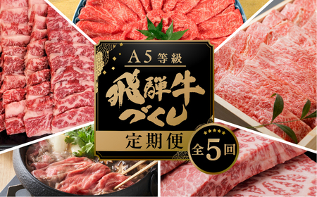 【ふるなび限定】定期便 飛騨牛 5回 定期便 トキノ屋食品 FN-Limited-PR