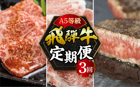 A5 飛騨牛 3回 定期便 飛騨牛 トキノ屋食品