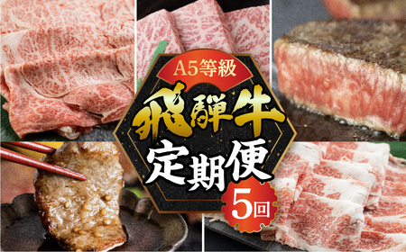 A5 飛騨牛 焼肉 5回 定期便 焼肉 トキノ屋食品