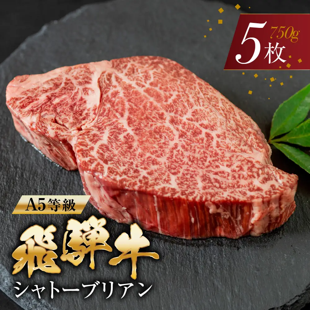 【ふるなび限定】飛騨牛 シャトーブリアン ステーキ 150g×5枚 ヒレ トキノ屋食品 ヒレ