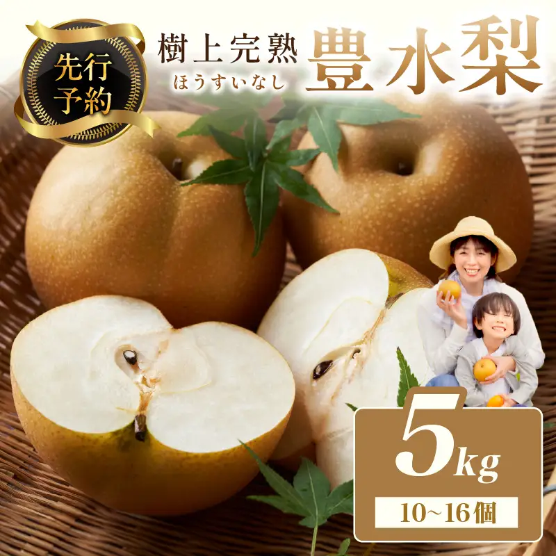 梨／豊水梨【先行予約】樹上完熟 豊水梨 5kg（10～16個）（2026年8月下旬～発送） 梨 なし ナシ 豊水梨 5キロ 予約 果物 くだもの フルーツ 期間限定 国産