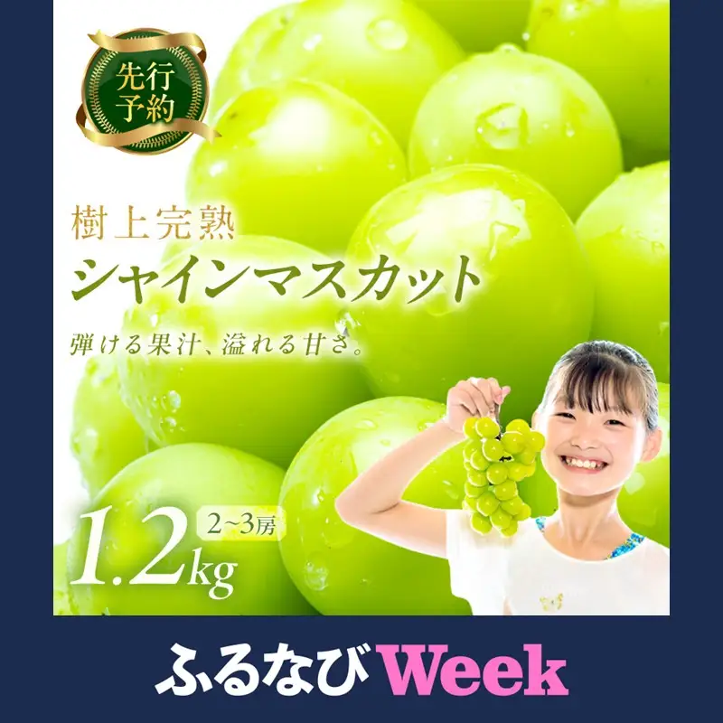 【ふるなびWEEK対象】シャインマスカット 樹上完熟 1.2kg 2～3房