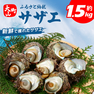 OM-08　サザエ 約1.5kg