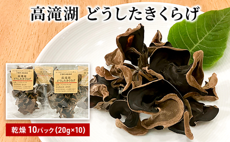 高滝湖どうしたきくらげ 乾燥10パック 防空壕きくらげシステム導入 野菜 きのこ 乾燥キクラゲ 中華料理 肉厚 食材 料理 調理 国産 国産野菜 国産きくらげ 